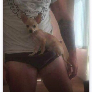 Логотип @totparenistindera - Тот парень из тиндера