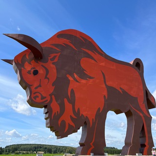 Логотип @tourism_in_brestregion - #1регионТуризм