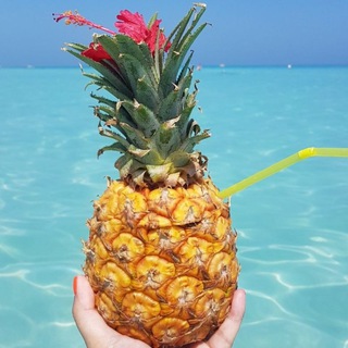 Логотип @tourmarin - ТУРМАРИН Семейные туры