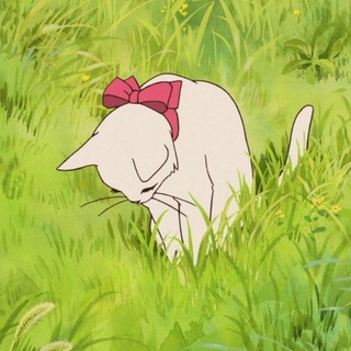 Логотип @tournesol130 - 🌱 вечерняя болтовня подсолнуха 🌱