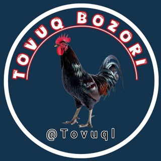 Логотип @tovuql - TOVUQ BOZORI