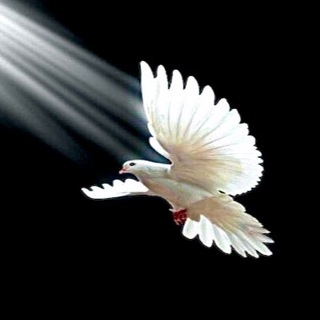 Логотип @toyoursoulxb - К твоей душе (письма)