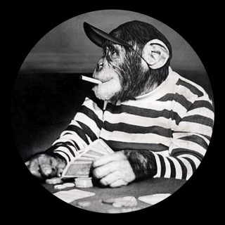 Логотип @tozemoooon - Money Monkey