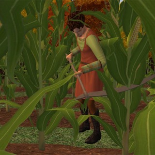 Логотип @tozhchto_llltttggg - природа прекрасна