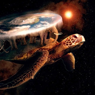 ☘️ TRACCE SOCIAL ☘️