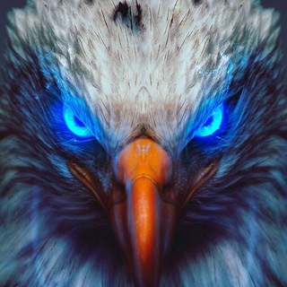 Логотип @tradcatknight - TRADCATKNIGHT