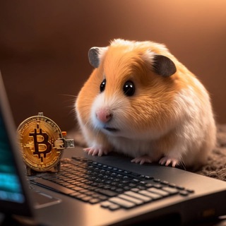 Логотип @tradernocry - ИнвестХомяк