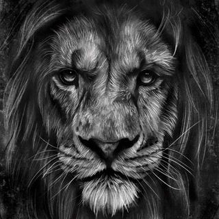 Логотип @tradersdeindicessinteticos - Comunidad de Traders