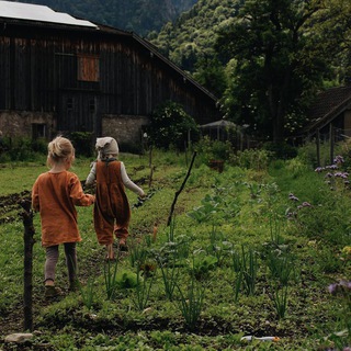 Логотип @traditionaleurope - Traditional Europe