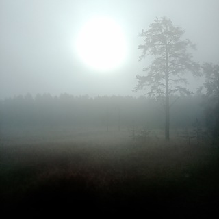 Логотип @trail_routes_slk - Трейл-маршруты | Соликамск