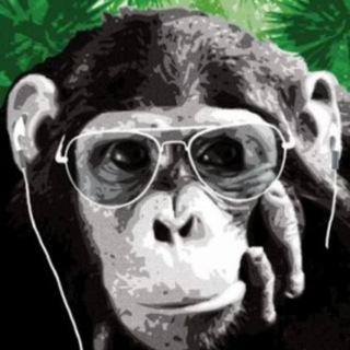 Логотип @traktortrans - Traktortrans