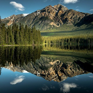 Логотип @trance_progressive - Trance & Progressive