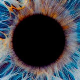 Логотип @transparentsilence - Прозрачная неподвижность