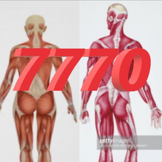 Логотип @transvest7770 - TRANSVEST7770