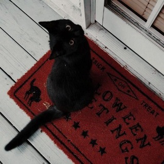 Логотип @traootz - траор