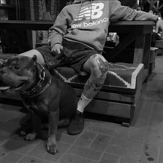 Логотип @trap0077 - 🕸️ANDEGROUND🕸️