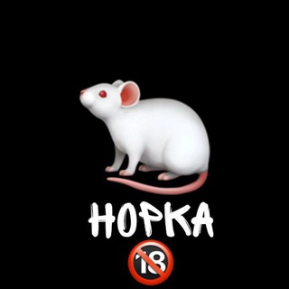 Логотип @trash_world - НОРКА 18+