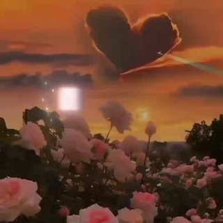 Логотип @trashnewspositive - Позитивный сплетник ツ