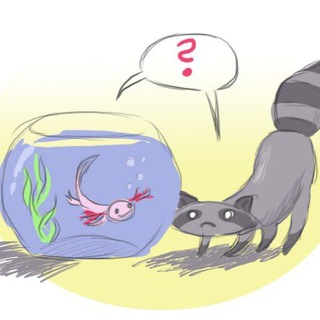 Логотип @trashpandasoo - Racoooooonn coon coon