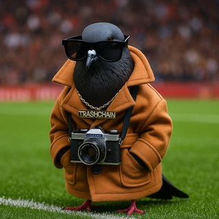 Логотип @trashzone49 - 🪱TrashChain Антилудка и многое другое...