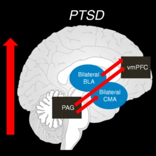 Логотип @traumotherapy - Кризова психологія та травмотерапія: фокус