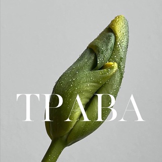 Логотип @trava_flower_studio - ТРАВА | доставка цветов