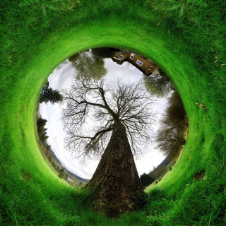 Логотип @trava_y_d0ma - Трава у Дома/ Ландшафтный дизайн