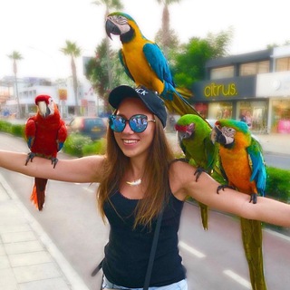 Логотип @travel_ellidi - Путешествия от Элли