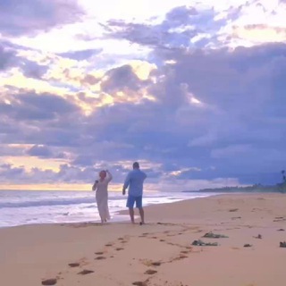 Логотип @travel_fox_moscow - Путешествия с уютом