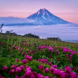 Логотип @travel_kamchatka41 - Путешествуем по Камчатке!