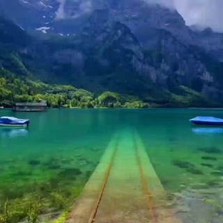 Логотип @travel_magnit - КРАСИВЫЕ ВИДЕО 🏝 природа, путешествия, страны