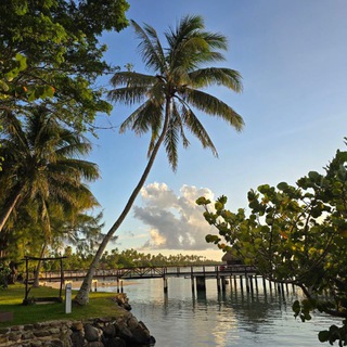 Логотип @travel_style1 - Трэвел стиль, горящие туры, круизы. Таиланд, Турция, Египет, Мальдивы