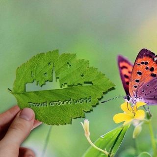 Логотип @travelaround_world - 🌍 Travel Around The World 🏕