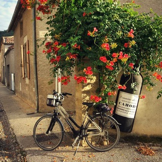 Логотип @travelclever - Travelclever