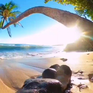 Логотип @travelcontent24 - Travel контент для специалистов