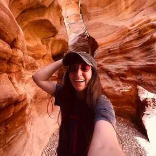 Логотип @traveleyn - Роза Ветров