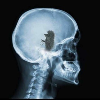 Логотип @travelgossips - Туристичні плітки