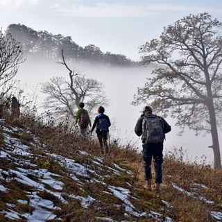 Логотип @travelinginarmenia - Travelling in Armenia ֍ Путешествие по Армении🇦🇲