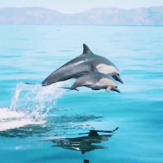 Логотип @travelman_chat - ЧАТ Паблика Путешественника по миру ☀️🌊🏔