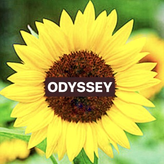 Логотип @travelodyssey30 - 🌻 Travel Odyssey 🌻 Dx30 Likes