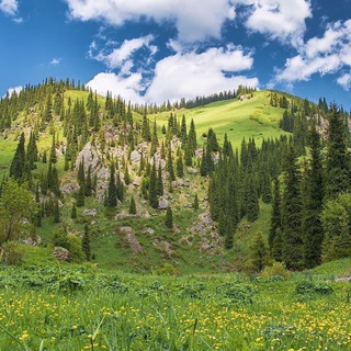 Логотип @travelqazaqstan - TravelBlog.kz