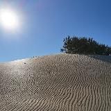 Логотип @travelsbug - Travel&bug