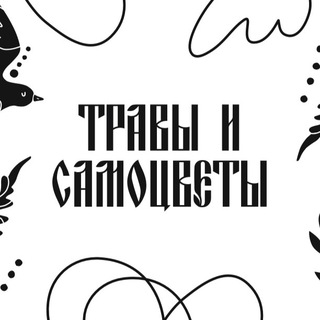Логотип @travysamocvety - Травы и Самоцветы
