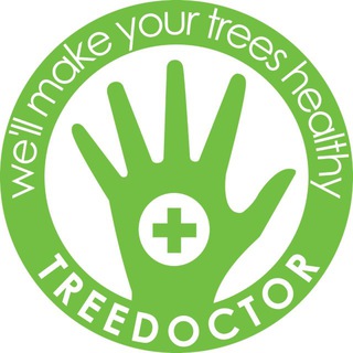 Логотип @treedoctor_zvonka - Treedoctor