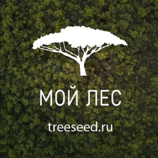 Логотип @treeseednews - Семена растений, опт и розница