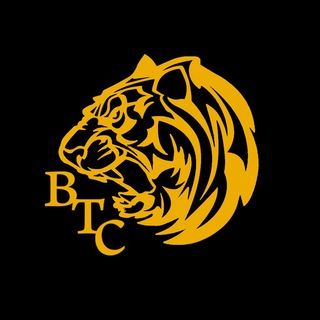 Логотип @treidingkriptavaluta - TigerBTC
