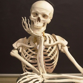 Логотип @trenerskayafpachat - Тренерская (чат FPA)