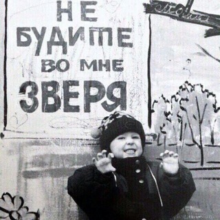 Логотип @trezvdvizh - 🕸️Трезвый Движ🍃