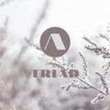 Логотип @triad_fam - ᴛᴩиᴀд