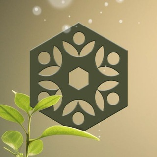 Логотип @tribehaus - 🌱 TRIBEHAUS Kanal